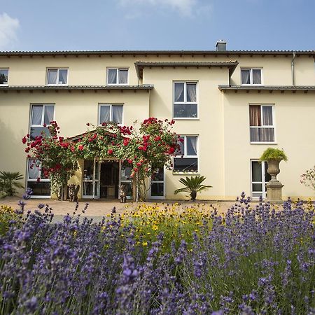 Mediterran Hotel Juwel Karlstein am Main Екстериор снимка