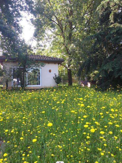 Mediterran Hotel Juwel Karlstein am Main Екстериор снимка